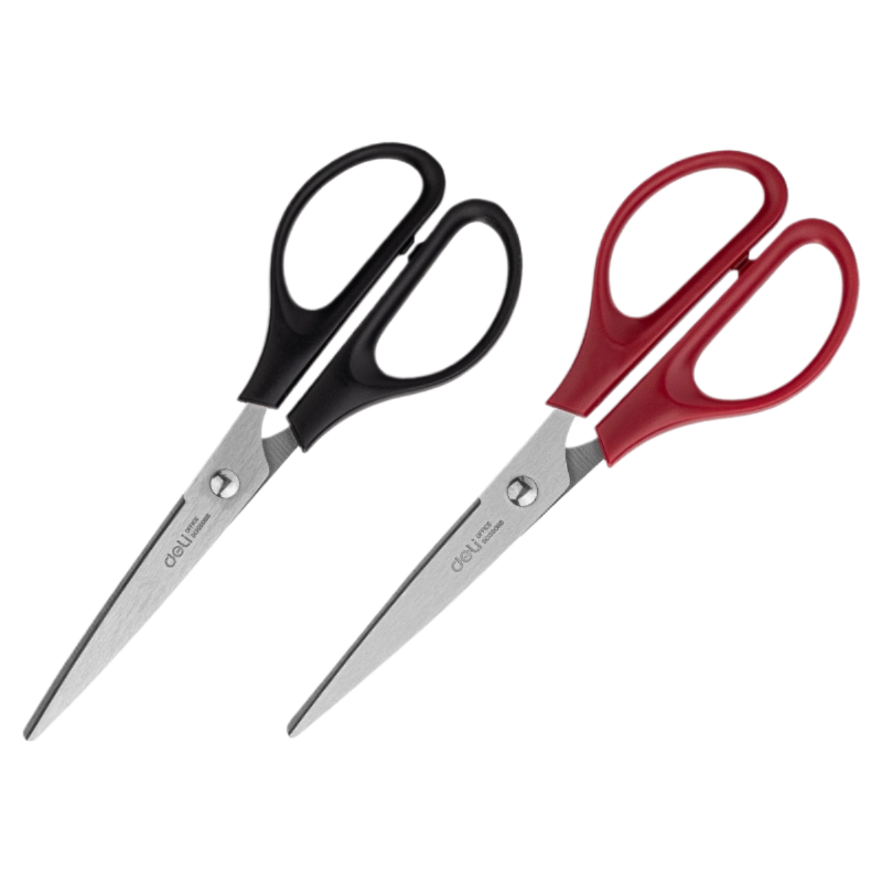 1_1722914156-fotor-202502179239